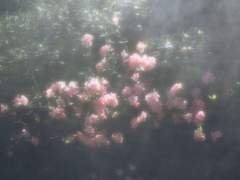 이 감정은 사시사철 불어오는 바람처럼 불어와 지워지지않았다.