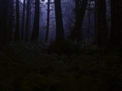 [오수이한]어떤 추락은 흔적을 남기지 않는다. 上