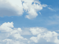 누설 금지, 혐오 금지, 그리고 결제 금지(100만 원)