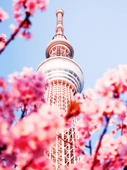 [도리벤/드림] 너에게 닿기를