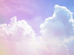 난연爛然의 수기