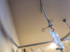 코로나 조심하세요..!