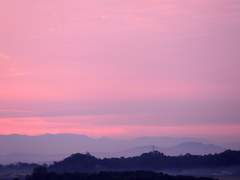 우리는 살아가야만 한다. 떠나간 자들을 위하여.