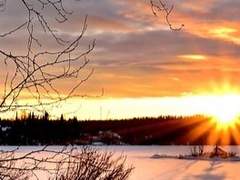 나의 유일한 영웅에게.