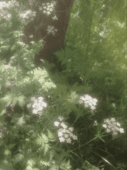 가비지타임_농놀 타임