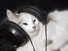 급전 증사 컴션