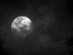 평생을 학대당한 드림주