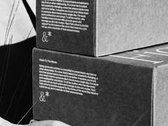 어지러이 피는 꽃에게 가시란?