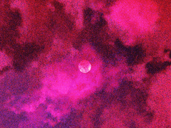 레베카 V. 가너 [𝕽𝖊𝖇𝖊𝖈𝖈𝖆 𝖁𝖊𝖗𝖔𝖓𝖎𝖈𝖆 𝕲𝖆𝖗𝖓𝖊𝖗]_27세