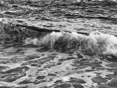 바다에나 갈까요?