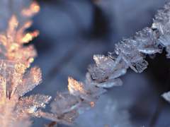 궤멸하는 세계 이래