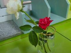 구글포토 몇년전사진.