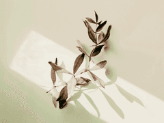 기억을 말하다 _下