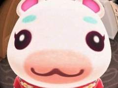 🧨구독자 1000명 자축🧨