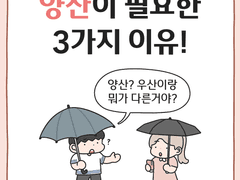 햇빛이 뜨거울때 양산이 필요한 이유