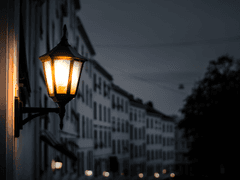 진이커 • 공개 프로필 D