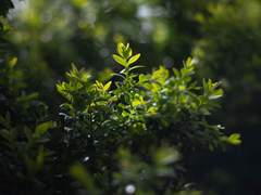 함께 질식하더라도,