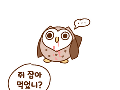 도시부엉은 무엇을 먹었을까?