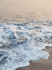 세인츠 솔리테어 아카데미