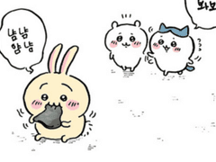 거대 다시마초절임