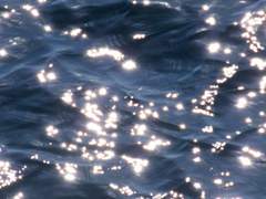 그렇게 영원을 말한다.