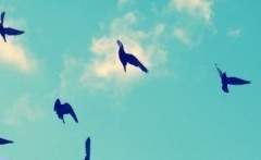 ❖기억의 지평선의 뒤,