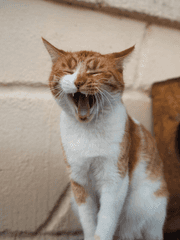 일/직장 관련 포스트