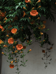 나를 구원해주세요