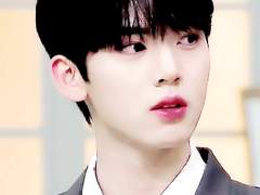 너는 나의 노르웨이의 숲