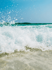 태섭대만 단편 모음