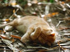 '조용한 퇴사'의 이면은 '조용한 임금동결'이야.