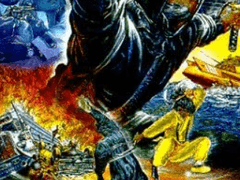 A133) 닌자의 혈투 (Rage Of Ninja, 1988)