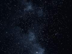 ラチ こずえ XX 19