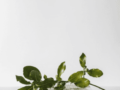 2화 - 싸구려 픽션