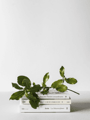 [BL] 싸구려픽션