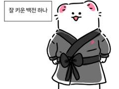 잘 키운 백전 하나