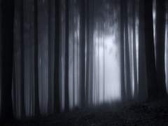 [오수이한]어떤 추락은 흔적을 남기지 않는다. 中