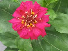 이대로는 못살겠어, 우리 OO하자!