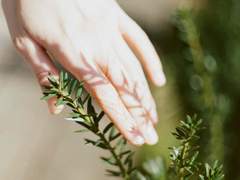 담류은 사망로그