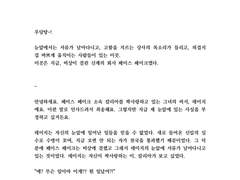 비온 뒤 무지개 타입 샘플