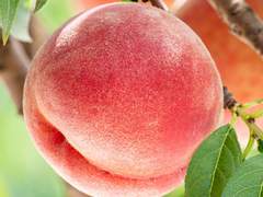 20년 전 이야기 55