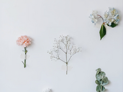 어느날, 네명의 오빠들이 생겼다 <특별편>