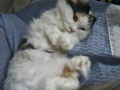 우당탕탕 아르바이트2023