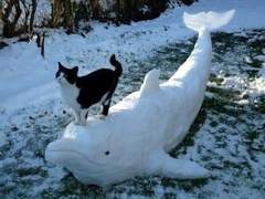 호의는 되돌아오지 않는다 14