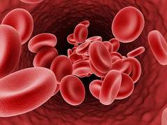 Acquired Orphan Blood Diseases Therapeutics Market Size & Share 2023-28