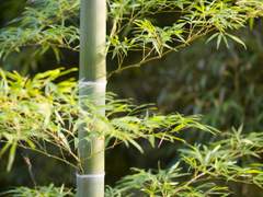 [번역] 프로즈닷컴 갱신을 안했더니 나에게 할인 오퍼가 왔다