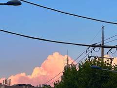 이 세상에 기적을 바라는 모든 이들을 위해