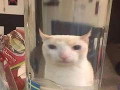 엔시티 홍일점으로 사는 썰