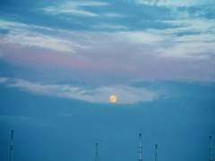 지상 최후의 말 上