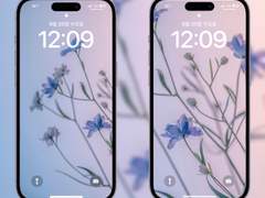 [무료 배경화면] 안녕, 꽃들의 계절 SET